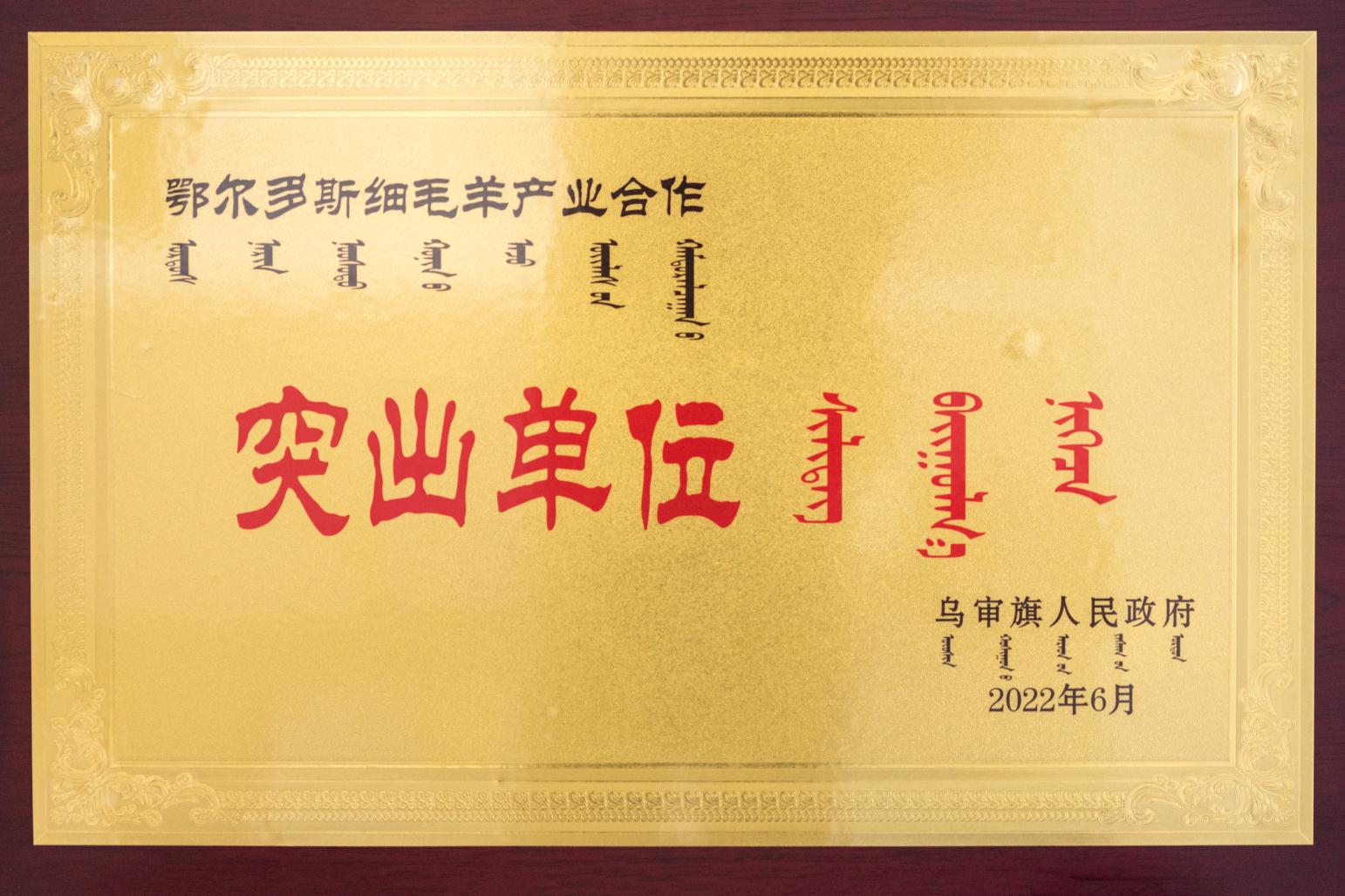2022鄂爾多斯細毛羊產(chǎn)業(yè)合作突出單位.jpeg