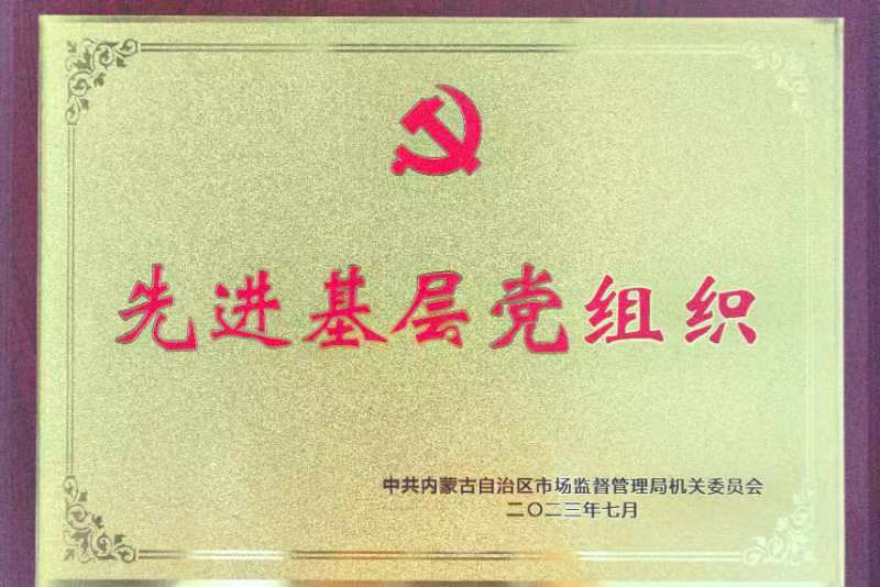 先進(jìn)基層黨組織.jpeg